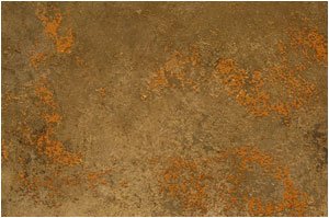 Venetian_Plaster